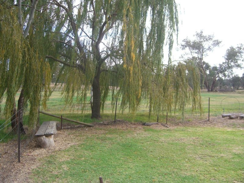 1257 Scenic Road, Young NSW 2594