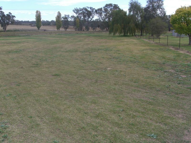1257 Scenic Road, Young NSW 2594