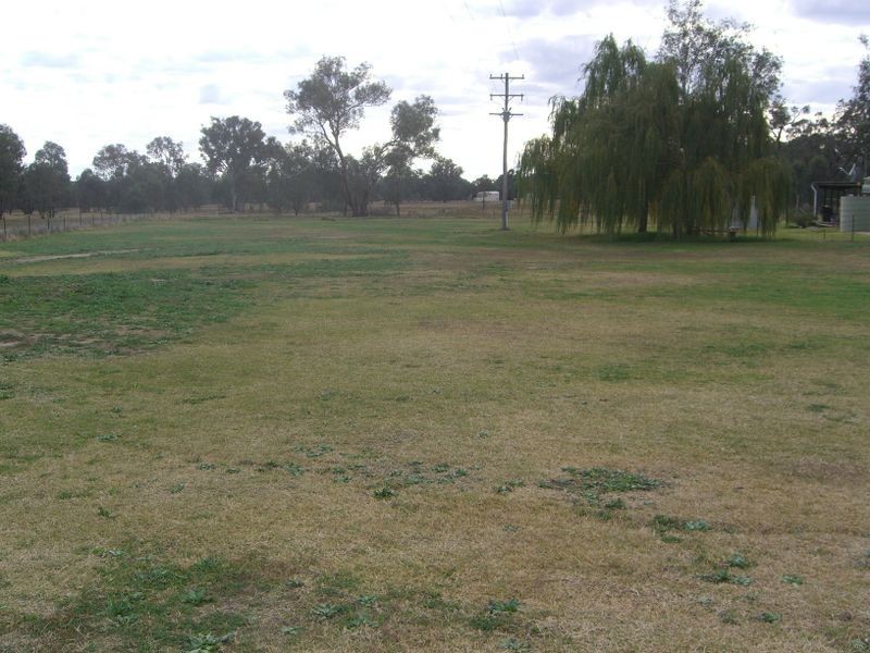 1257 Scenic Road, Young NSW 2594