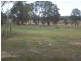 1257 Scenic Road, Young NSW 2594