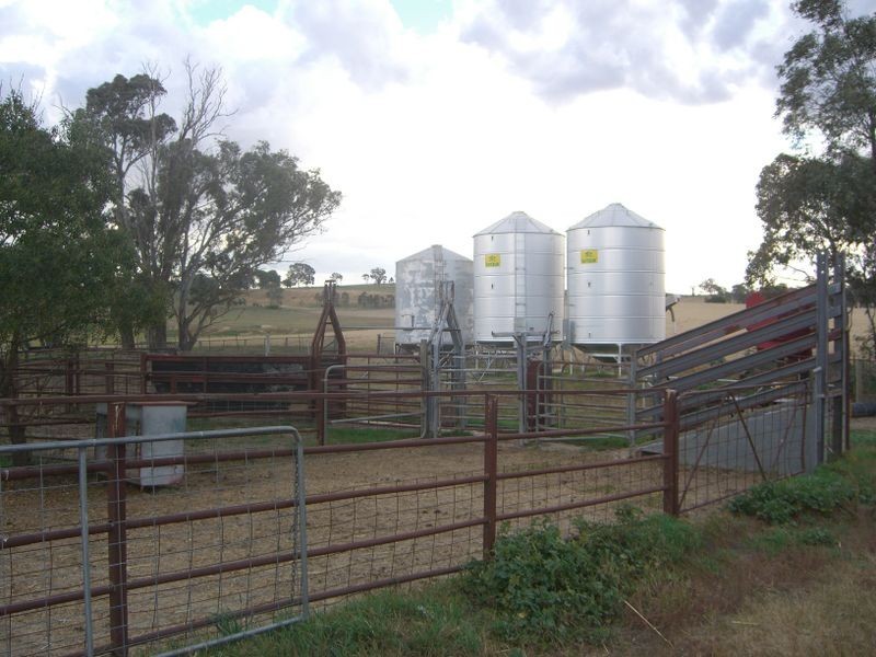 00 Colorado Rd Wallendbeen, Young NSW 2594