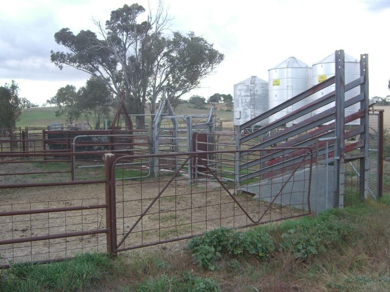 00 Colorado Rd Wallendbeen, Young NSW 2594