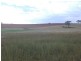 00 Colorado Rd Wallendbeen, Young NSW 2594