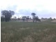 00 Colorado Rd Wallendbeen, Young NSW 2594