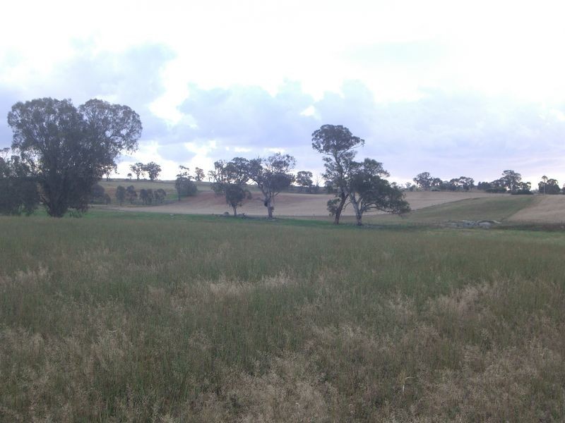 00 Colorado Rd Wallendbeen, Young NSW 2594