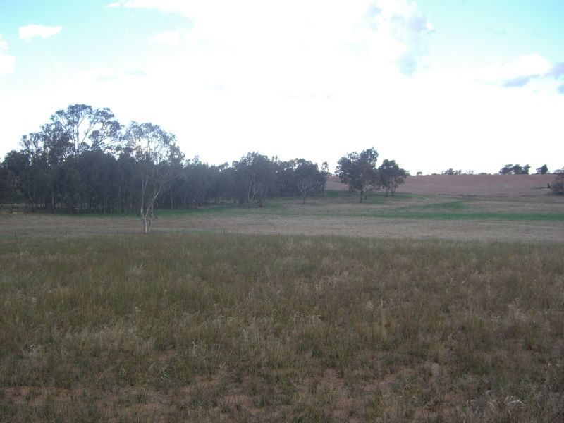 00 Colorado Rd Wallendbeen, Young NSW 2594