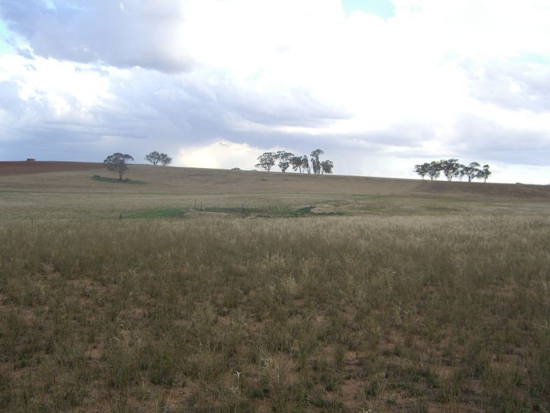 00 Colorado Rd Wallendbeen, Young NSW 2594