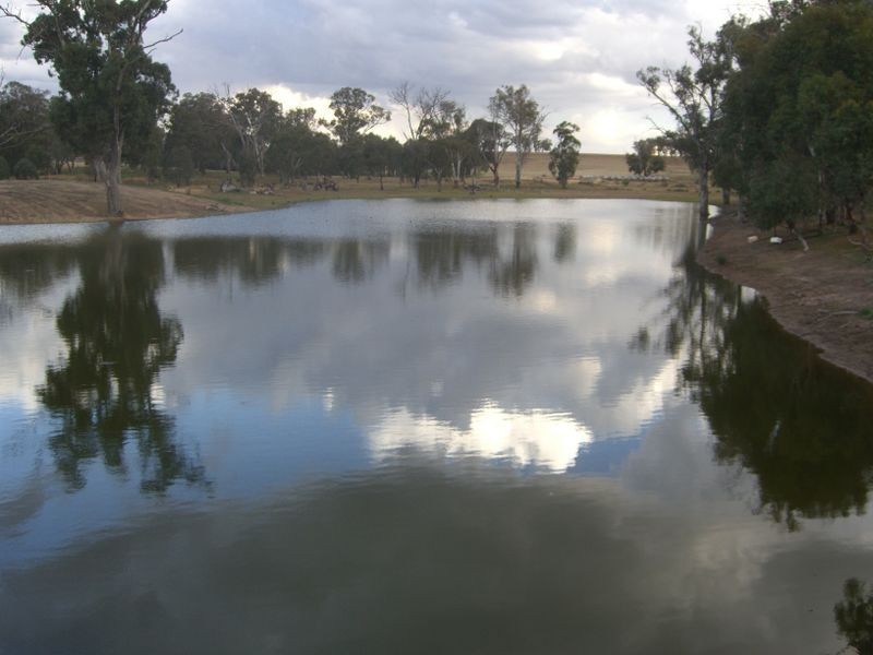 00 Colorado Rd Wallendbeen, Young NSW 2594
