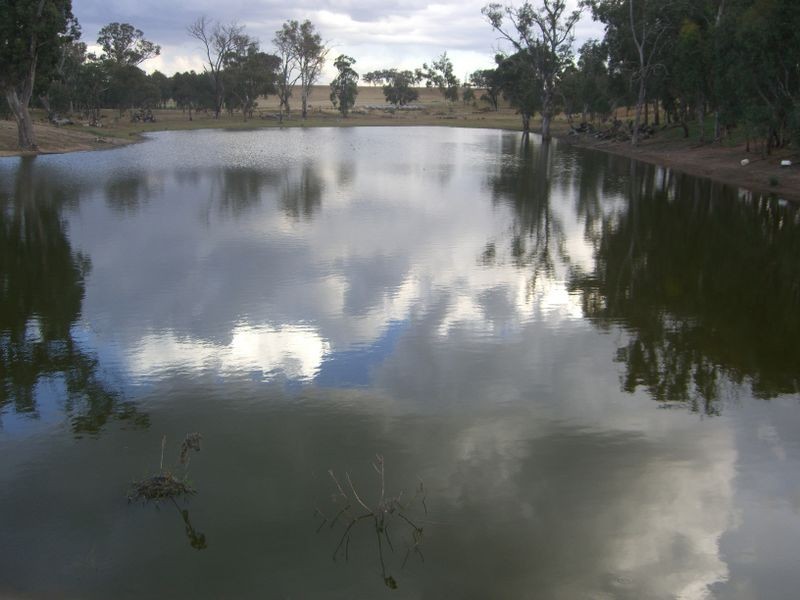 00 Colorado Rd Wallendbeen, Young NSW 2594