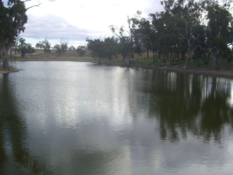 00 Colorado Rd Wallendbeen, Young NSW 2594