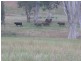 00 Colorado Rd Wallendbeen, Young NSW 2594
