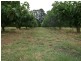 5 Pine Rd, Young NSW 2594
