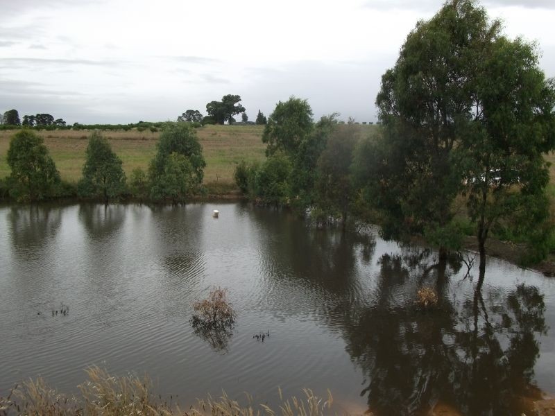 5 Pine Rd, Young NSW 2594