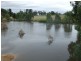 5 Pine Rd, Young NSW 2594