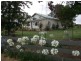 5 Pine Rd, Young NSW 2594