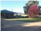 251 Halls Lane, Young NSW 2594