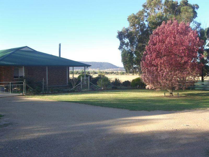 251 Halls Lane, Young NSW 2594