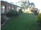 251 Halls Lane, Young NSW 2594