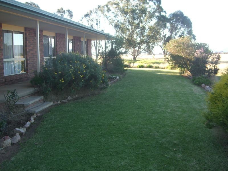 251 Halls Lane, Young NSW 2594