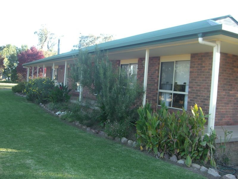 251 Halls Lane, Young NSW 2594