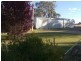 251 Halls Lane, Young NSW 2594
