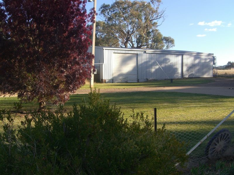 251 Halls Lane, Young NSW 2594
