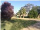 251 Halls Lane, Young NSW 2594