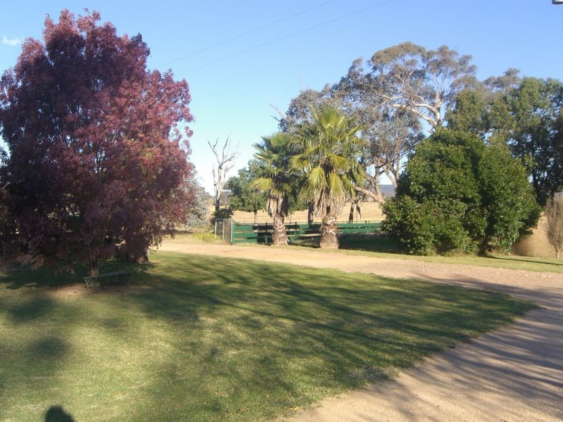 251 Halls Lane, Young NSW 2594