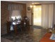 251 Halls Lane, Young NSW 2594