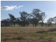 251 Halls Lane, Young NSW 2594