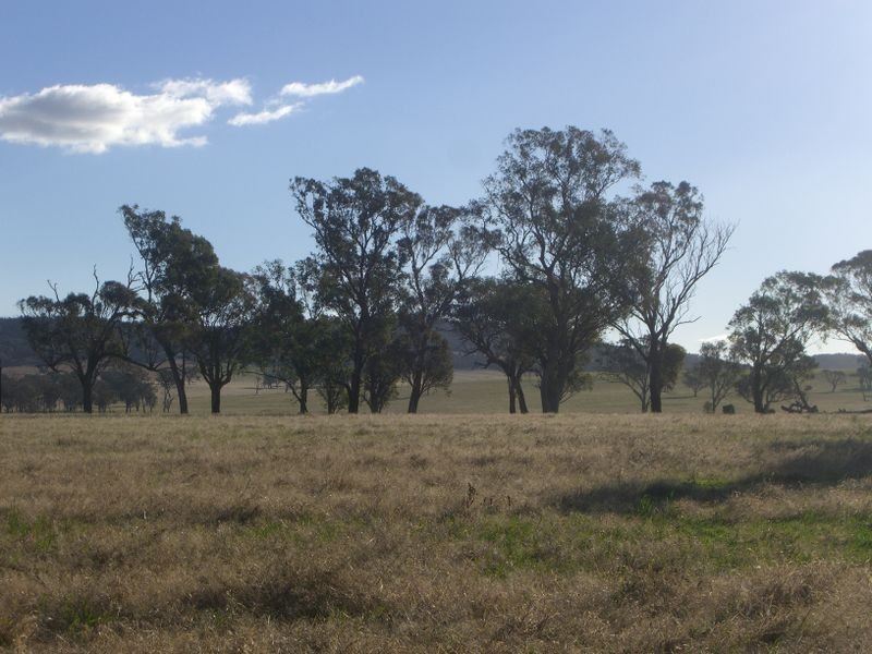 251 Halls Lane, Young NSW 2594