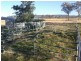 251 Halls Lane, Young NSW 2594