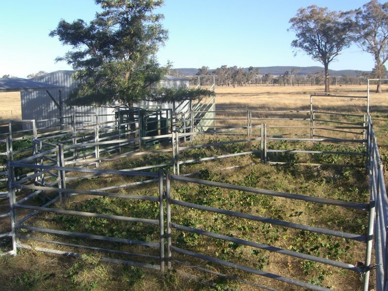 251 Halls Lane, Young NSW 2594