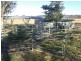 251 Halls Lane, Young NSW 2594