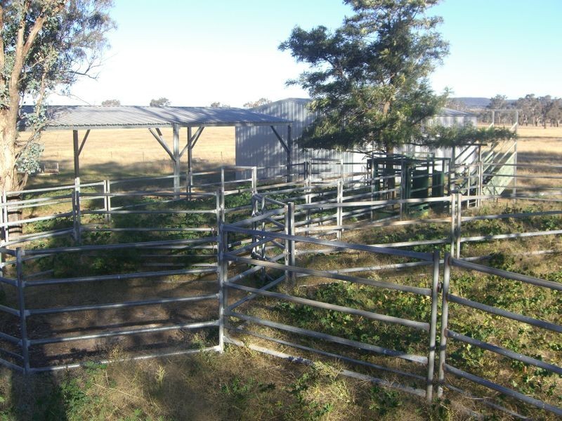 251 Halls Lane, Young NSW 2594
