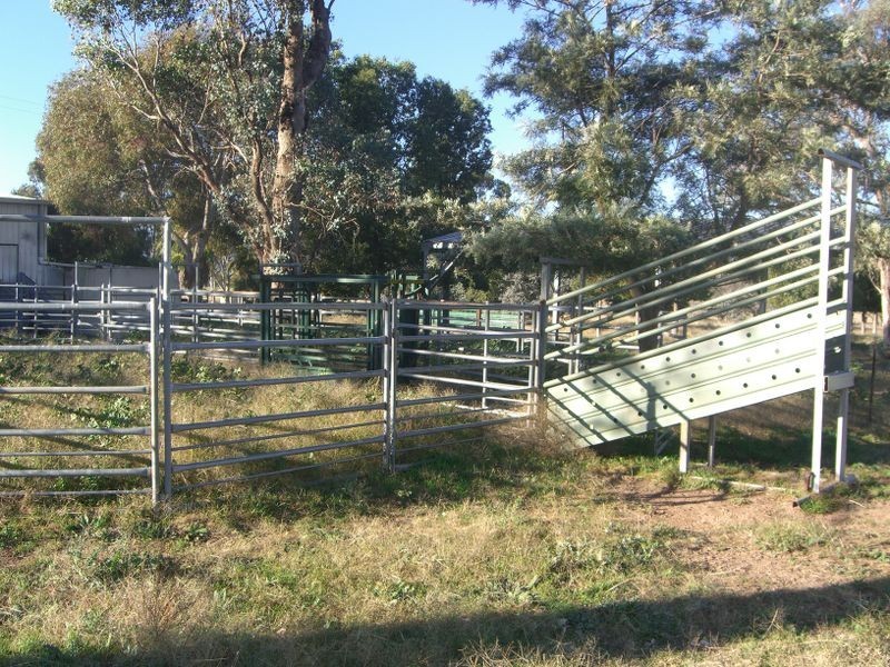 251 Halls Lane, Young NSW 2594