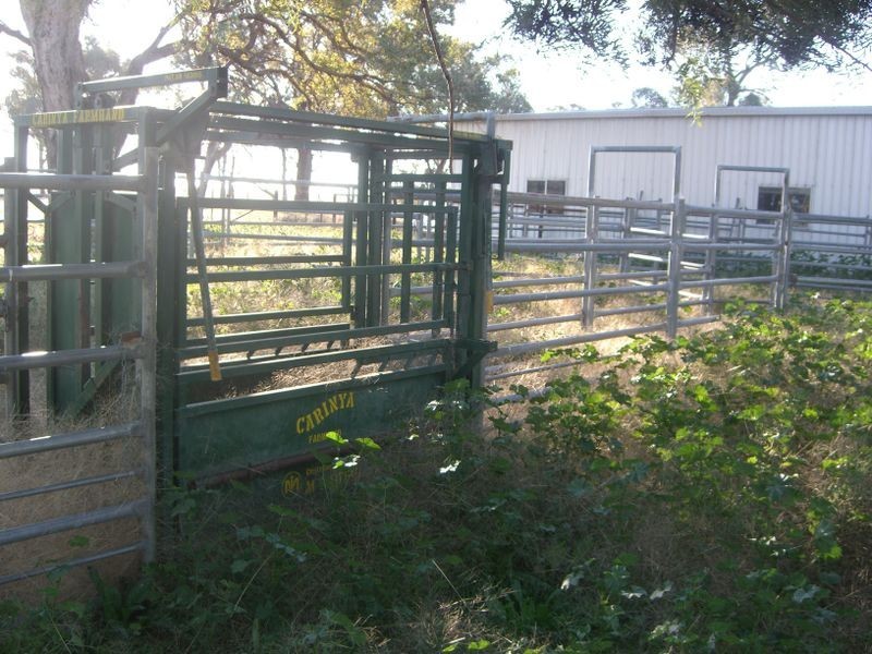 251 Halls Lane, Young NSW 2594