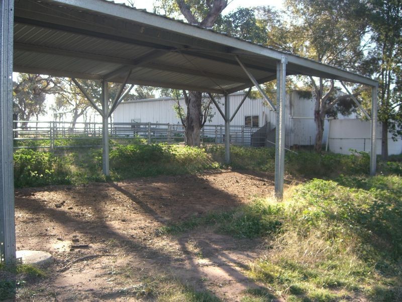 251 Halls Lane, Young NSW 2594