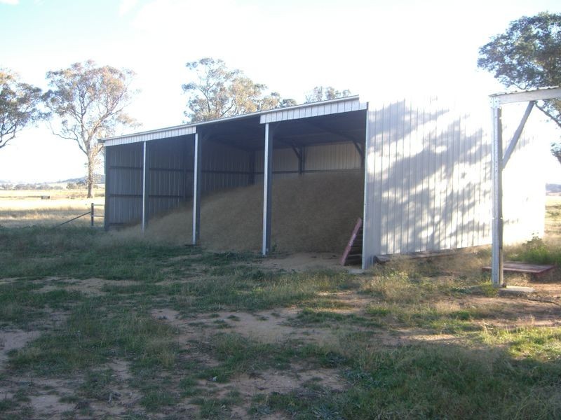 251 Halls Lane, Young NSW 2594