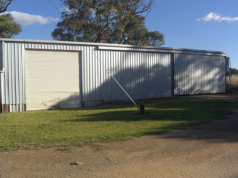 251 Halls Lane, Young NSW 2594