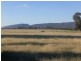 251 Halls Lane, Young NSW 2594