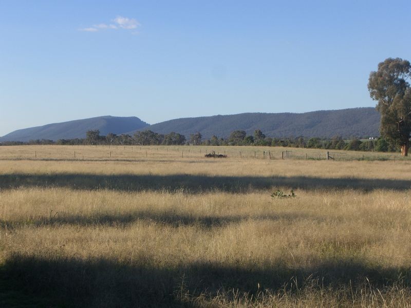 251 Halls Lane, Young NSW 2594