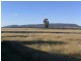 251 Halls Lane, Young NSW 2594