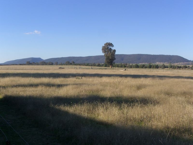 251 Halls Lane, Young NSW 2594