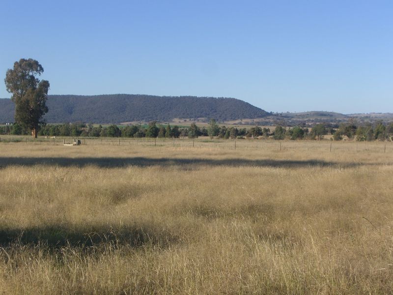 251 Halls Lane, Young NSW 2594