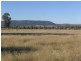 251 Halls Lane, Young NSW 2594