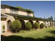 1425 Milvale Rd, Young NSW 2594