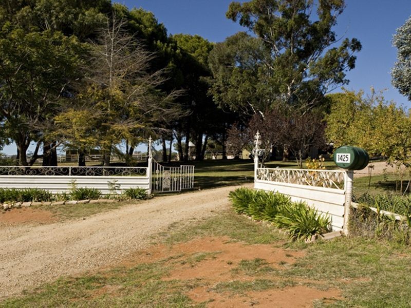 1425 Milvale Rd, Young NSW 2594