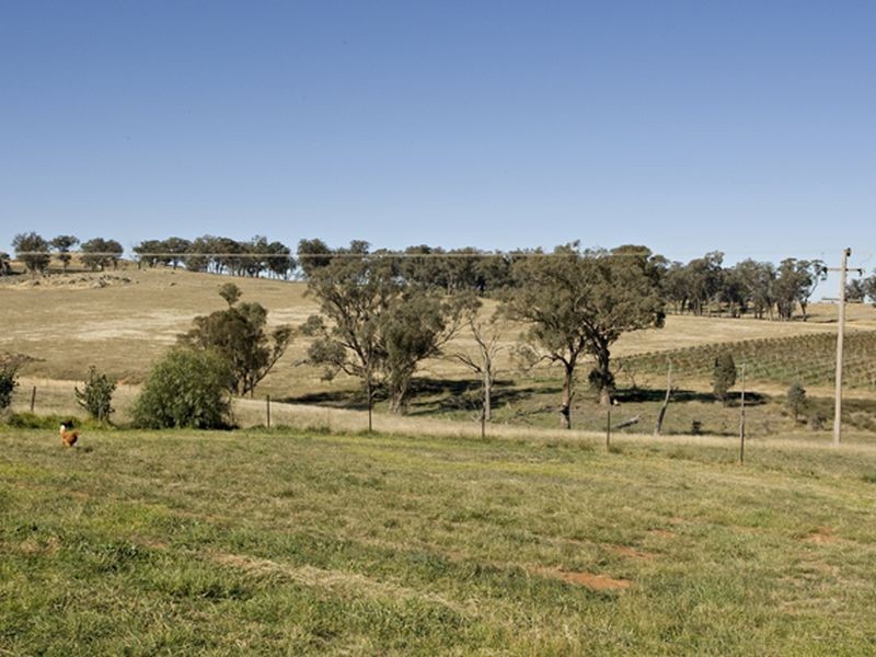 1425 Milvale Rd, Young NSW 2594