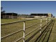 1425 Milvale Rd, Young NSW 2594
